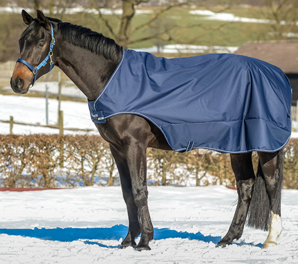 HORSE GUARD WALKER RUG NAVY