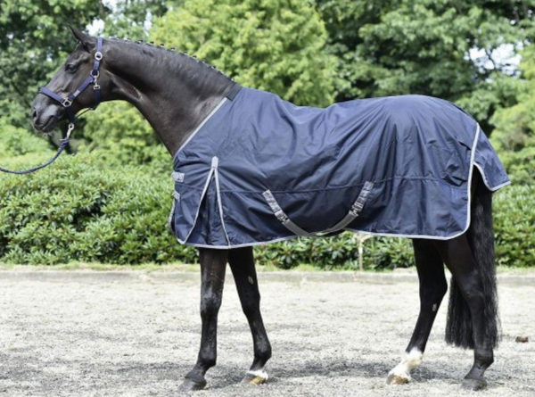 BUSSE TURNOUT RUG ASTANA NAVY 300 g